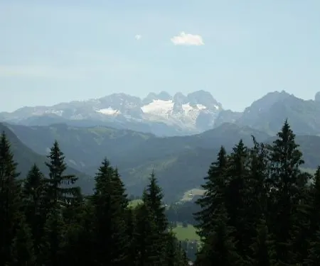 Feuerer *